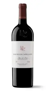 Botella de Crianza, vidrio negro con sello burdeos, etiqueta blanca con logo rojo y texto descriptivo negro, texto dice Ribera del Duero, denominación de origen, añada 2021.